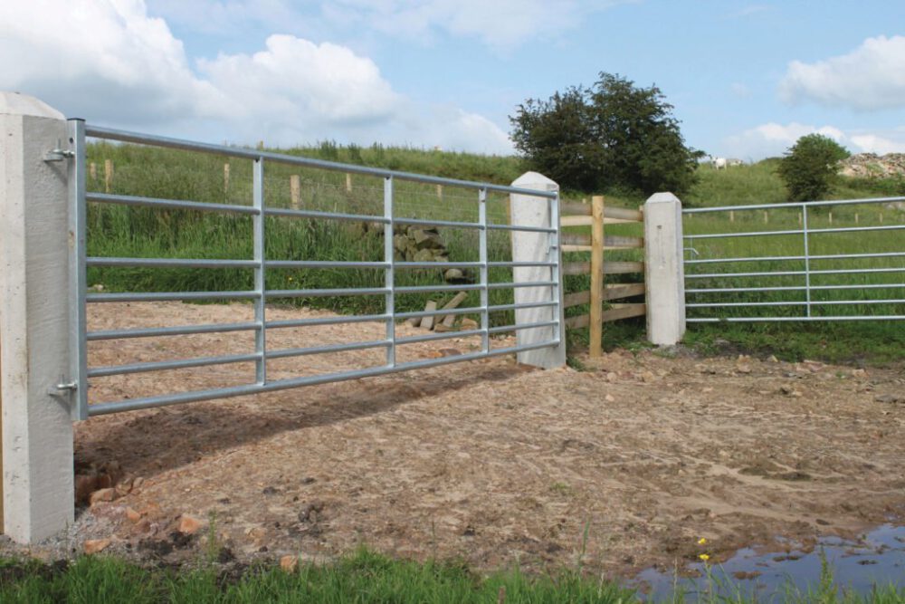 Ashbourne Plus Field Gate | IAE - Image 2